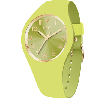 Ice Watch® Analogue 'Ice Duo Chic - Lime' Women's Watch (Small) 021820